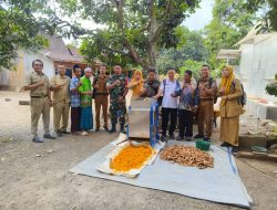 Babinsa Koramil 0822/16 Cermee Monitoring Bantuan Alsintan Berbahan Dasar Kunyit