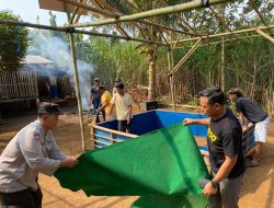 Polres Malang Bongkar Arena Sabung Ayam di Dua Lokasi