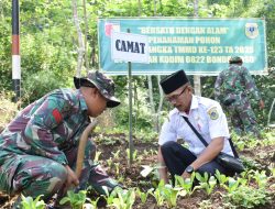 Satgas TMMD Ke-123 Kodim 0822 Tanam Ratusan Bibit Pohon