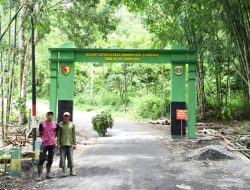 Gapura Bikin Melongo, Desa Gunosari Kini Punya Gerbang Spektakuler Berkat TMMD KE-123