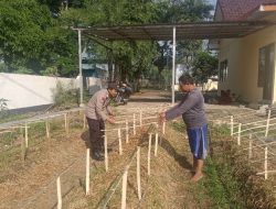 Kapolsek Taman Krocok Polres Bondowoso Polda Jatim Dukung Program Asta Cita Ketahanan Pangan dengan Menanam Cabe di Lahan Polsek