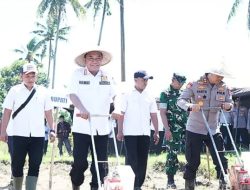 ‎Dukung Ketahanan Pangan Seluruh Pondok Pesantren di Bondowoso Tanam Jagung Serentak‎‎
