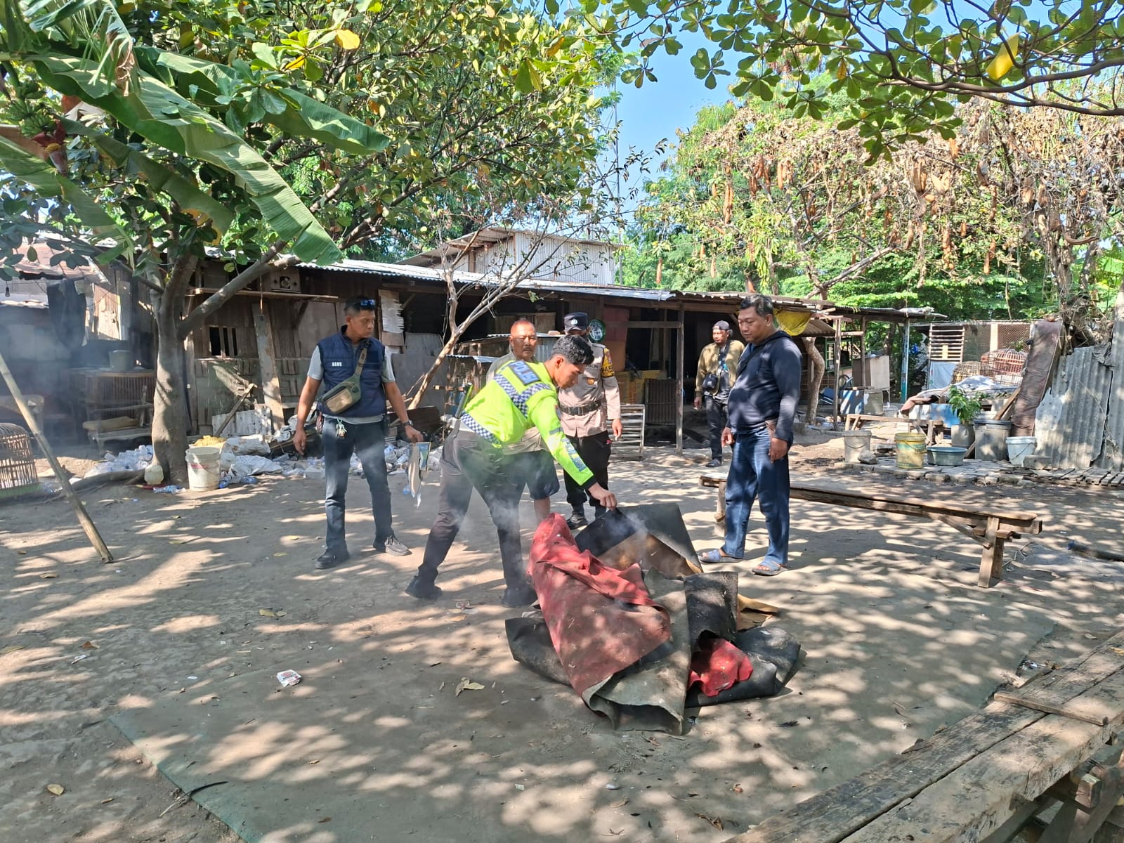 Polsek Waru Bongkar Arena Sabung Ayam di Bungurasih Utara, Polisi Telusuri Dugaan Pemilik